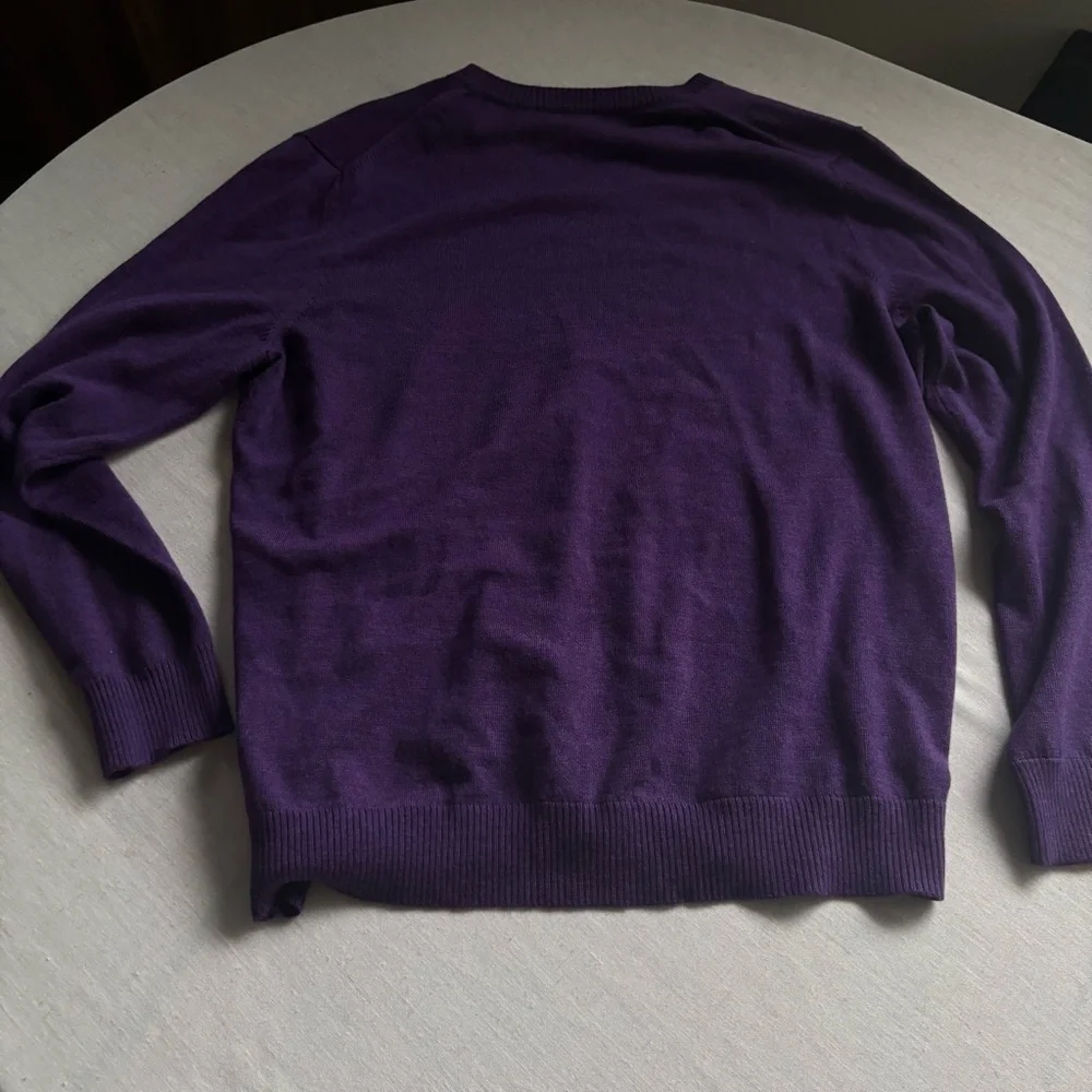 Banana Republic Men's V-Neck Sweater in Purple